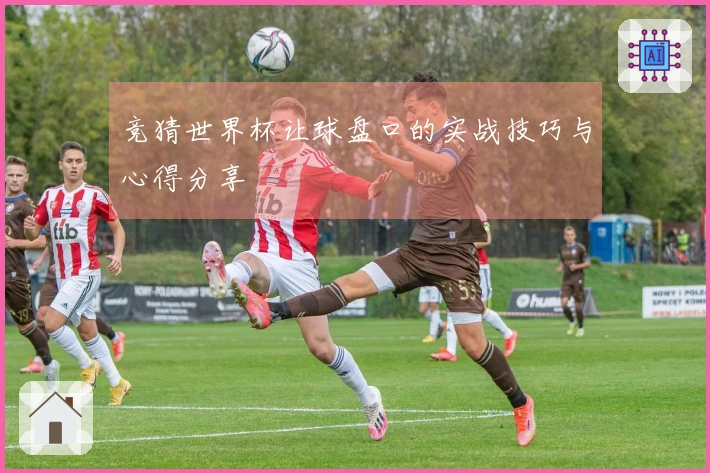 竞猜世界杯让球盘口的实战技巧与心得分享