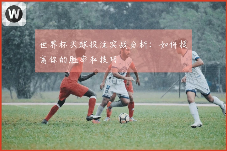 世界杯买球投注实战分析：如何提高你的胜率和技巧