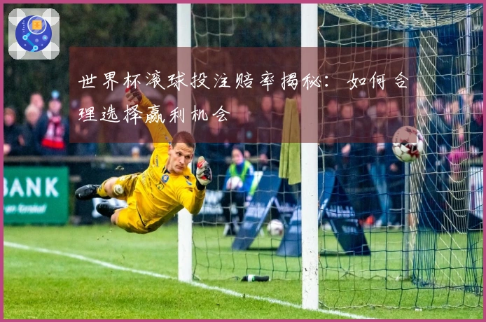世界杯滚球投注赔率揭秘：如何合理选择赢利机会
