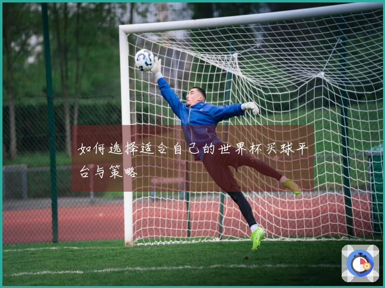 如何选择适合自己的世界杯买球平台与策略